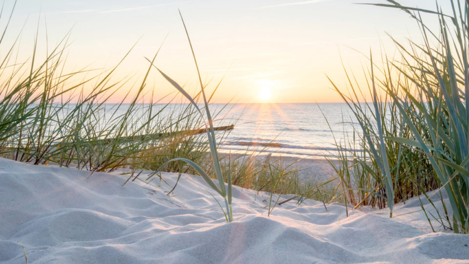Duinen | Paradisio